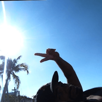 Felix Thompson Felix Thompson